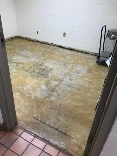 2024-02-01-water-damaged-carpet-service-laminate-vinyl-plank-flooring-replacement-cincinnati-ohio-before